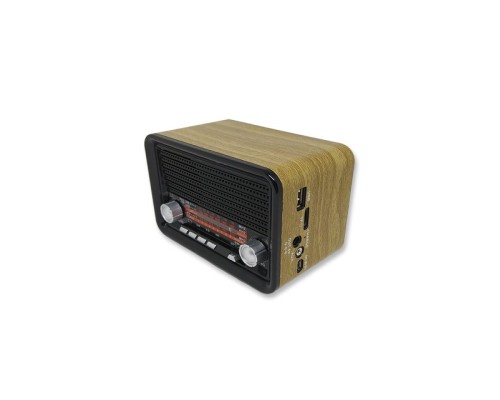 Everton RT-302 Radyo